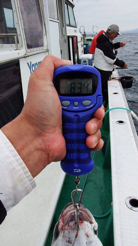 第三むつりょう丸 釣果