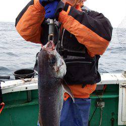 第三むつりょう丸 釣果