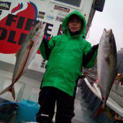 ファイヤードルフィン 釣果