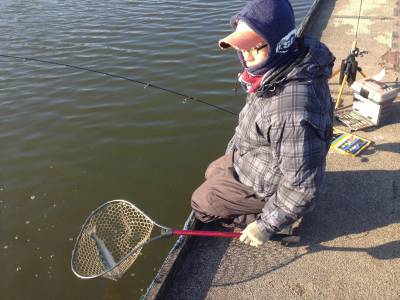 吉羽園 釣果