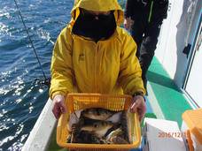 七福丸 釣果