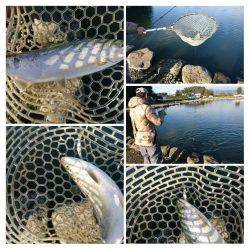 みどりフィッシングエリア 釣果