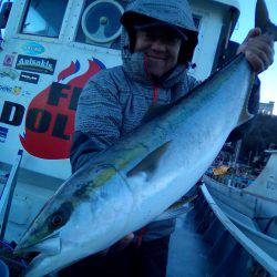 ファイヤードルフィン 釣果