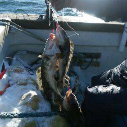 第八平成丸 釣果