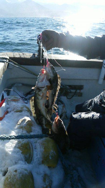 第八平成丸 釣果