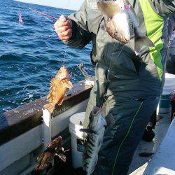 第八平成丸 釣果