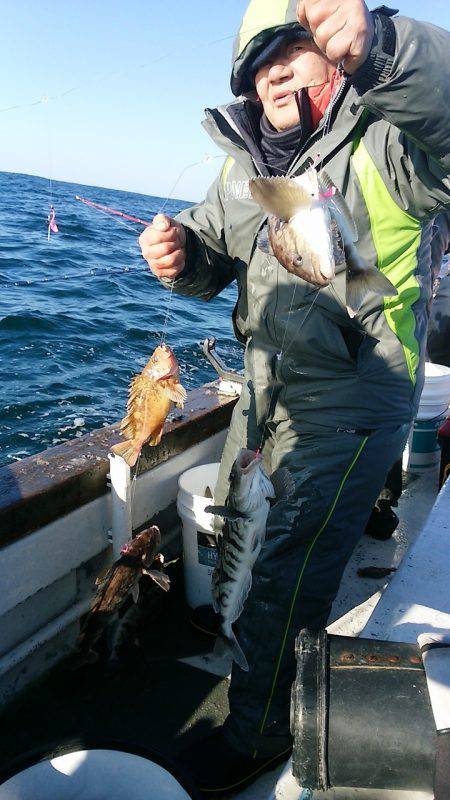 第八平成丸 釣果