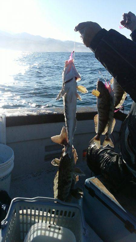 第八平成丸 釣果