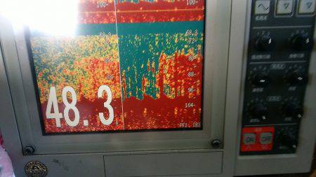 第八平成丸 釣果