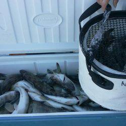 第八平成丸 釣果