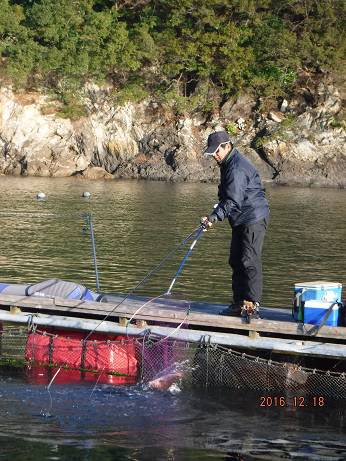 フィッシングパーク錦 釣果
