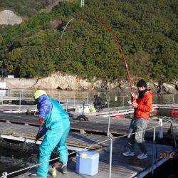 フィッシングパーク錦 釣果