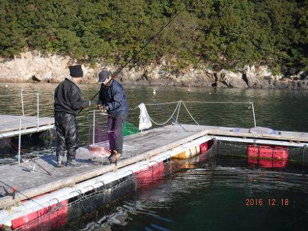 フィッシングパーク錦 釣果