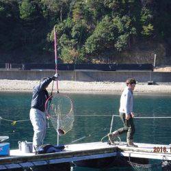 フィッシングパーク錦 釣果