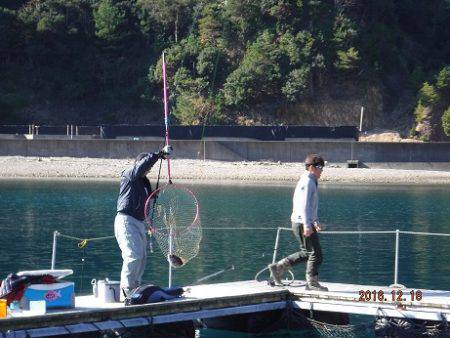 フィッシングパーク錦 釣果