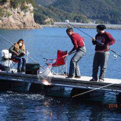 フィッシングパーク錦 釣果