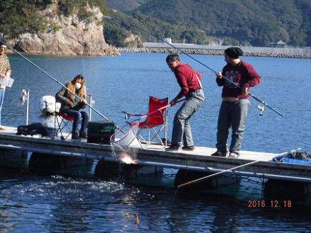 フィッシングパーク錦 釣果