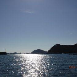 フィッシングパーク錦 釣果