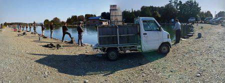 みどりフィッシングエリア 釣果