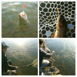 みどりフィッシングエリア 釣果