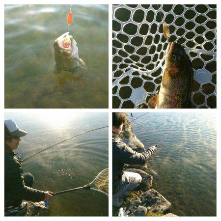 みどりフィッシングエリア 釣果