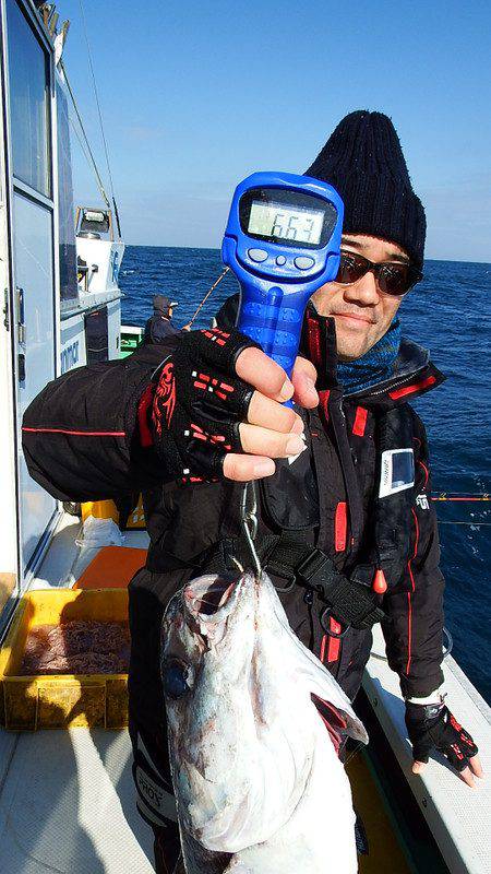 第三むつりょう丸 釣果