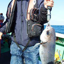 第三むつりょう丸 釣果