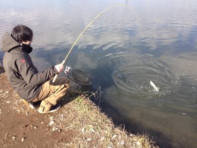 吉羽園 釣果