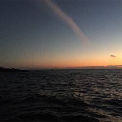 マタウマリンサービス 釣果