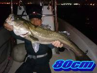 オーシャンマスター 釣果