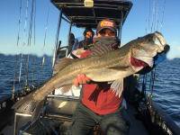 オーシャンマスター 釣果