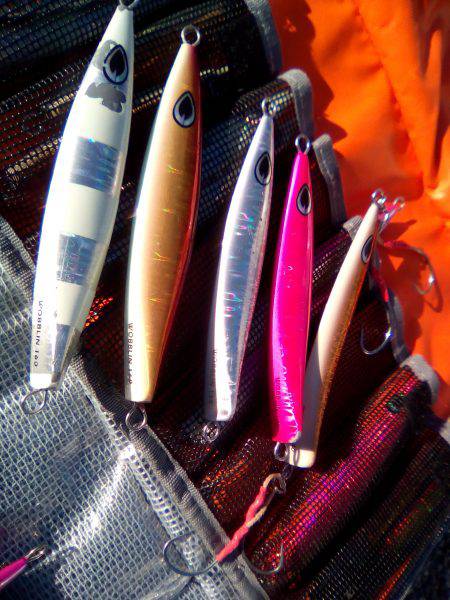 ファイヤードルフィン 釣果