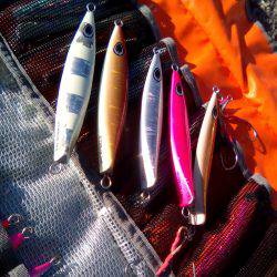 ファイヤードルフィン 釣果