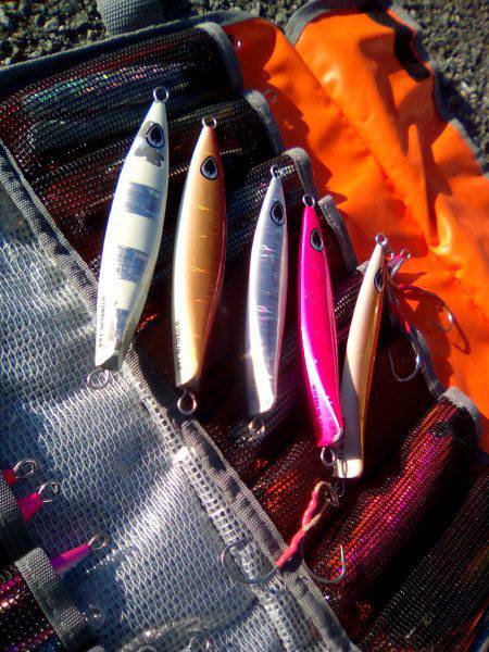 ファイヤードルフィン 釣果