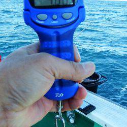 第三むつりょう丸 釣果