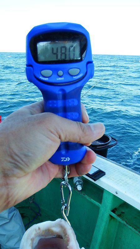 第三むつりょう丸 釣果