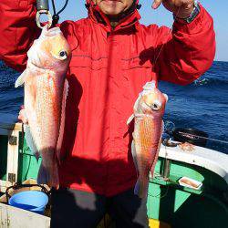 第三むつりょう丸 釣果