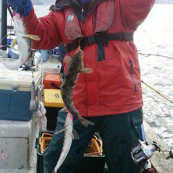 第八平成丸 釣果