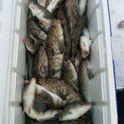 第八平成丸 釣果