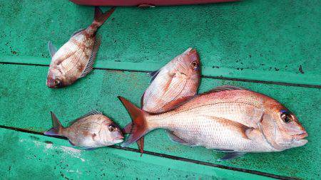 第三むつりょう丸 釣果