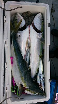 海龍丸（福岡） 釣果