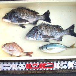 朝日丸 釣果
