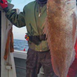 飛燕さくら丸 釣果