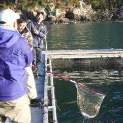 松名瀬フィッシングパーク 釣果