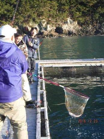 松名瀬フィッシングパーク 釣果