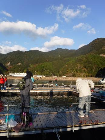 松名瀬フィッシングパーク 釣果