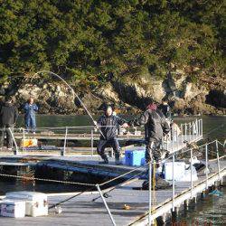 松名瀬フィッシングパーク 釣果