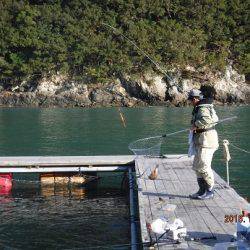 松名瀬フィッシングパーク 釣果