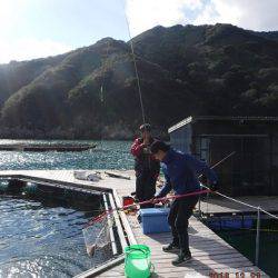 松名瀬フィッシングパーク 釣果