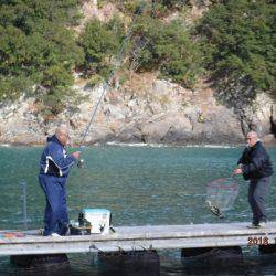 松名瀬フィッシングパーク 釣果